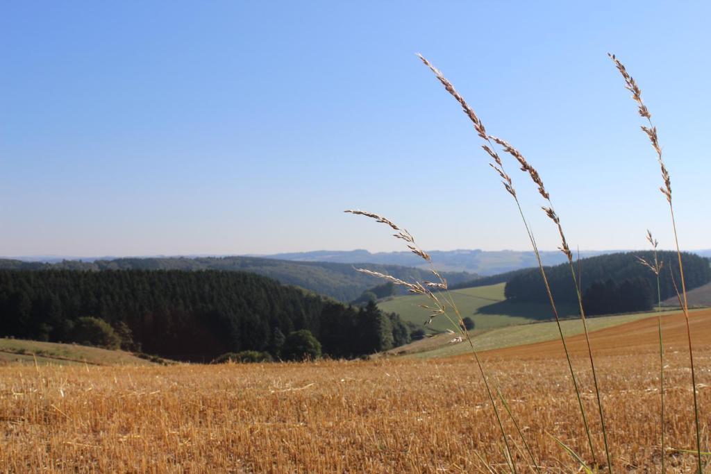 Hotel Reiff Fischbach-lès-Clervaux Esterno foto